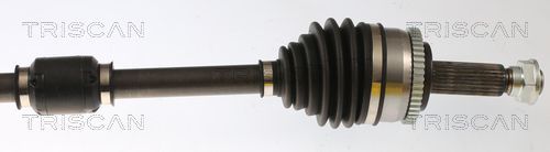 Pusašis TRISCAN 8540 43522