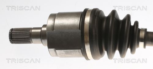 Pusašis TRISCAN 8540 43524