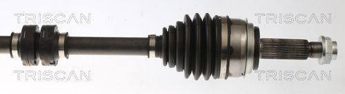 Pusašis TRISCAN 8540 43524