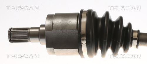 Pusašis TRISCAN 8540 43525