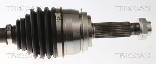 Pusašis TRISCAN 8540 43529