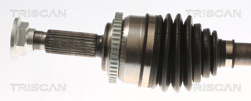 Pusašis TRISCAN 8540 43531