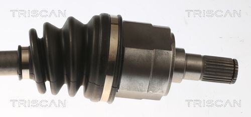 Pusašis TRISCAN 8540 43531