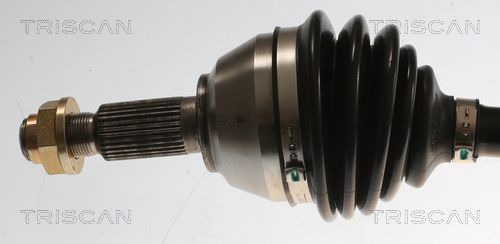 Pusašis TRISCAN 8540 81511