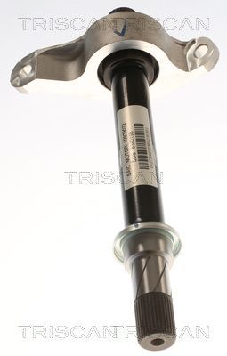 Pusašis TRISCAN 8540 82103