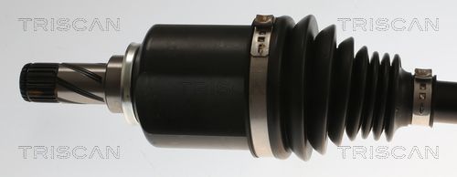 Pusašis TRISCAN 8540 82106