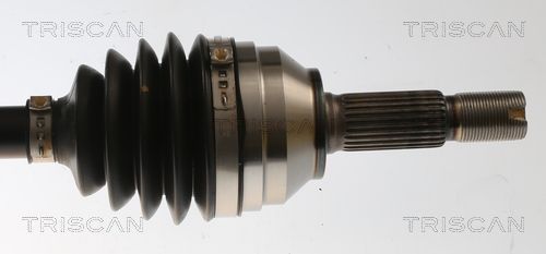 Pusašis TRISCAN 8540 82106