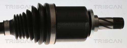 Pusašis TRISCAN 8540 82107