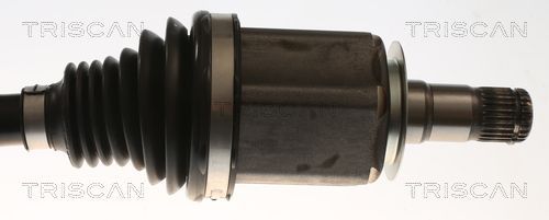 Pusašis TRISCAN 8540 82109