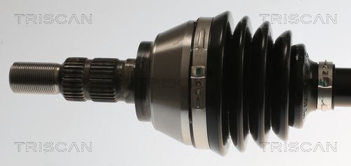 Pusašis TRISCAN 8540 82111