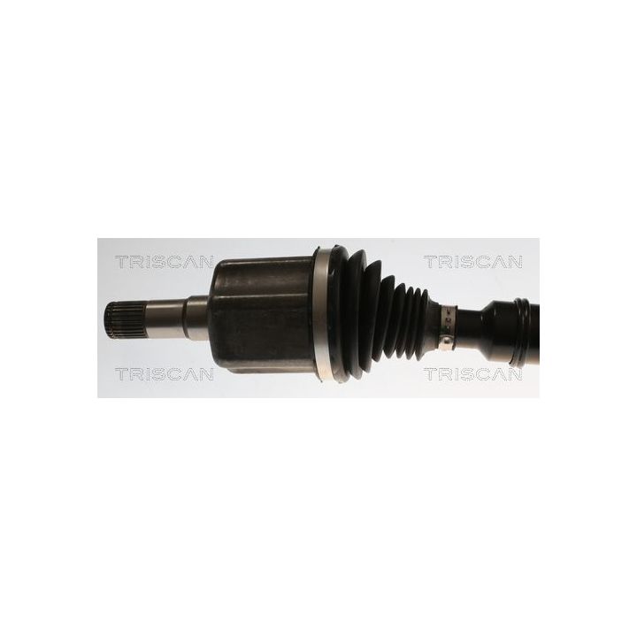 Pusašis TRISCAN 8540 82112