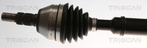Pusašis TRISCAN 8540 82113