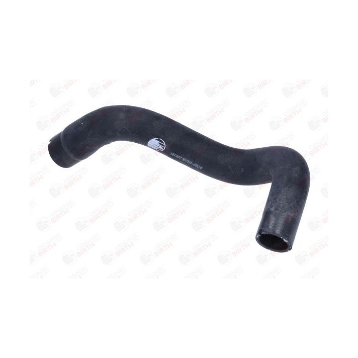 Radiatoriaus žarna BIRTH 55307