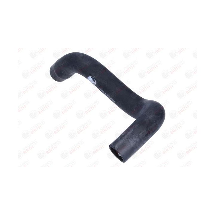 Radiatoriaus žarna BIRTH 55307