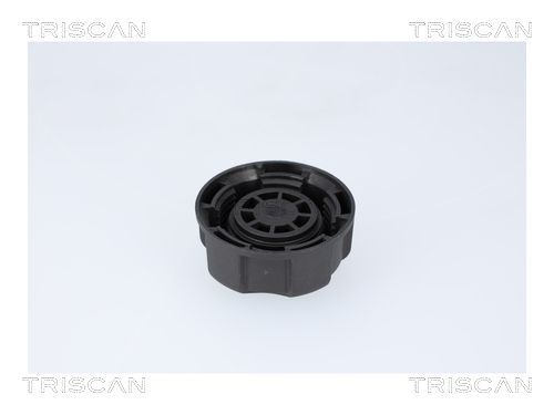 Dangtelis, radiatorius TRISCAN 8610 31