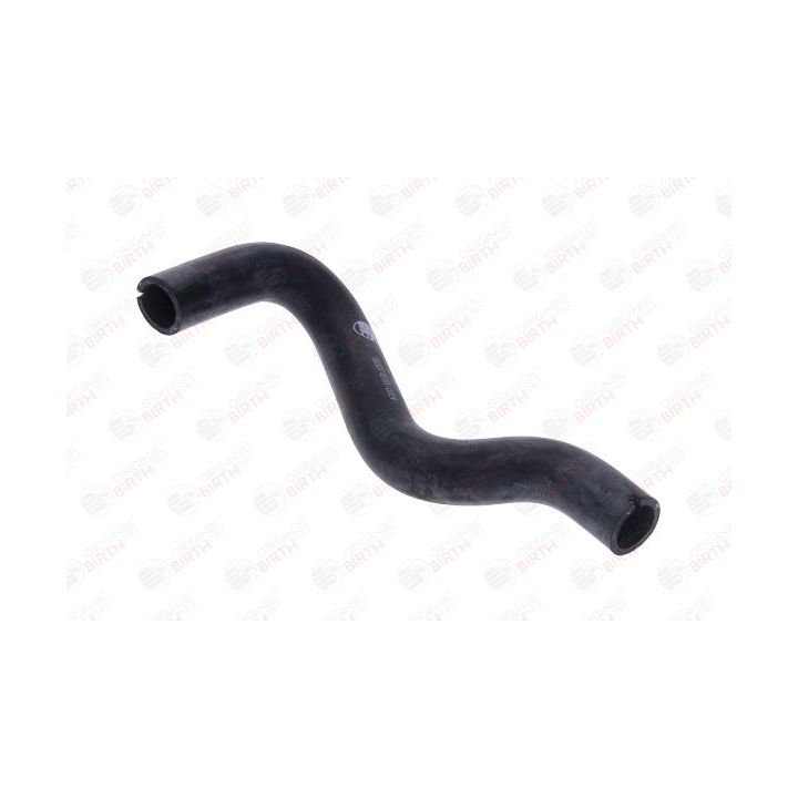 Radiatoriaus žarna BIRTH 56307