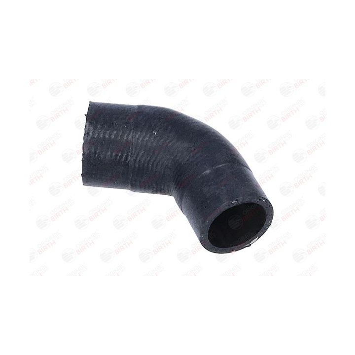 Radiatoriaus žarna BIRTH 56309