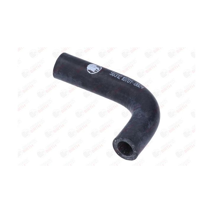 Radiatoriaus žarna BIRTH 56312