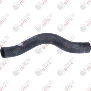 Radiatoriaus žarna BIRTH 56375