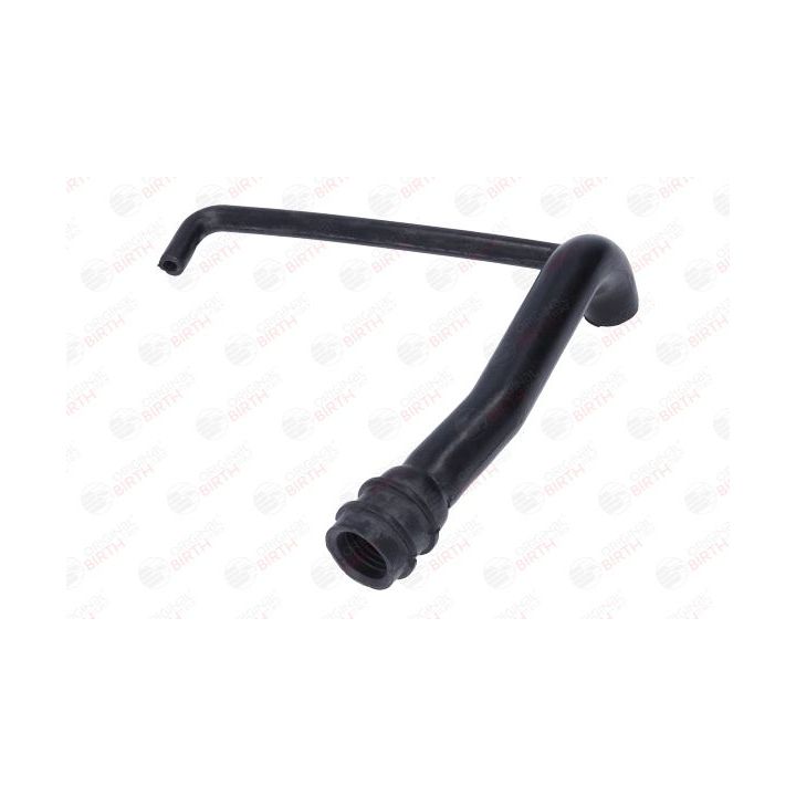 Alyvos žarna BIRTH 56012