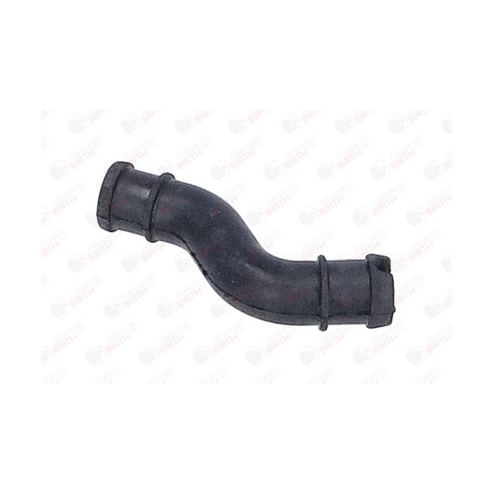 Alyvos žarna BIRTH 56018