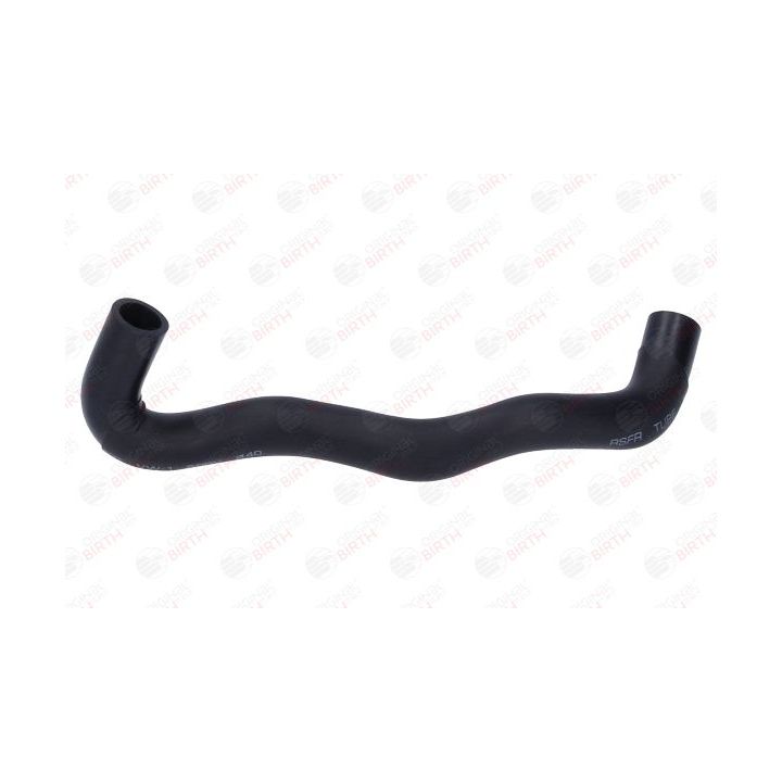 Alyvos žarna BIRTH 56020