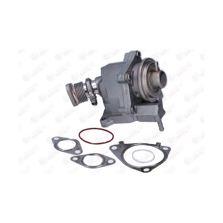 ERG vožtuvas BIRTH 90110