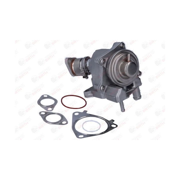 ERG vožtuvas BIRTH 90110