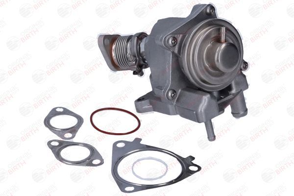 ERG vožtuvas BIRTH 90110