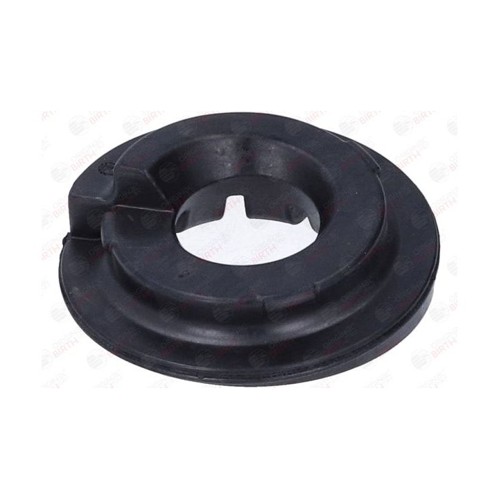 Spyruoklės dangtelis BIRTH 53809