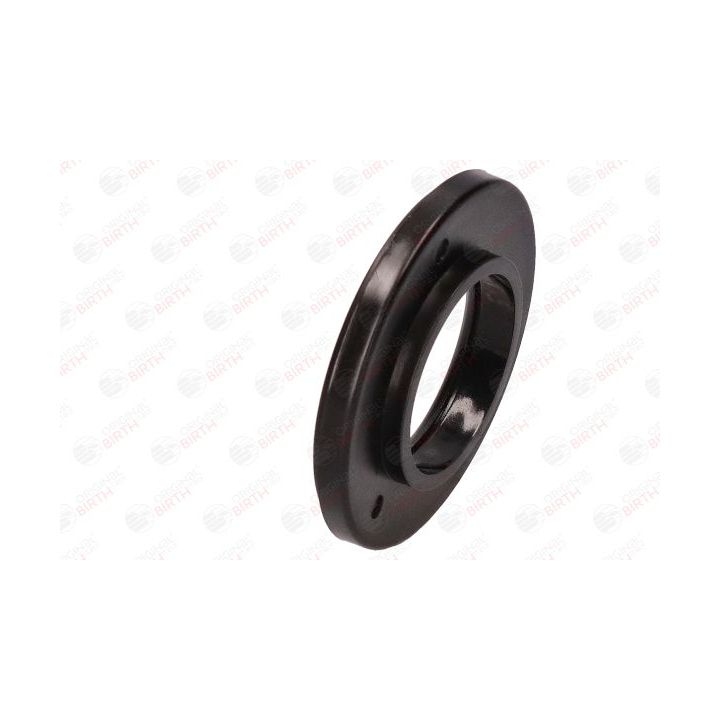 Frikcinis guolis, pakabos statramsčio atramos montavimas BIRTH 6605