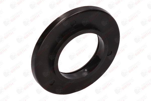 Frikcinis guolis, pakabos statramsčio atramos montavimas BIRTH 6605