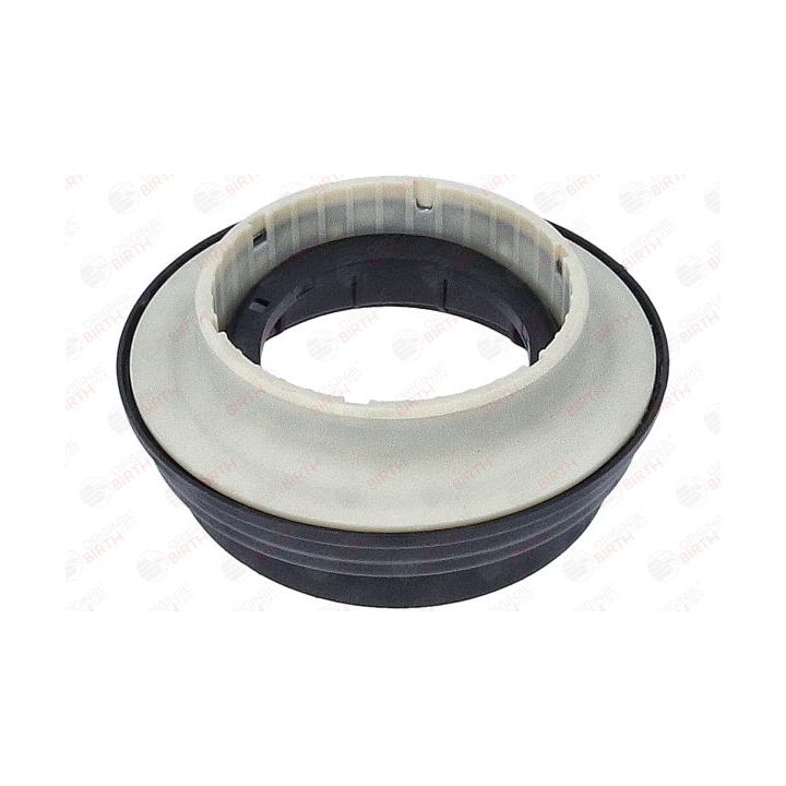 Frikcinis guolis, pakabos statramsčio atramos montavimas BIRTH 6618