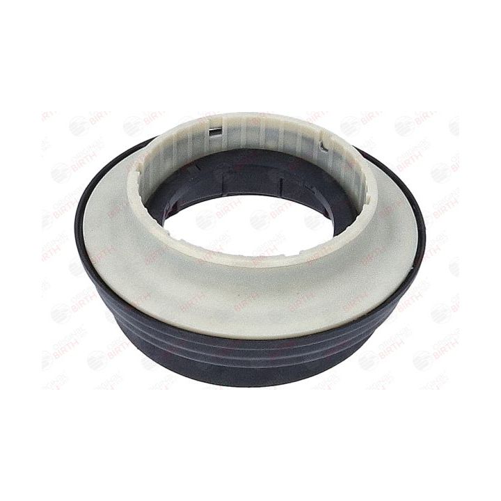 Frikcinis guolis, pakabos statramsčio atramos montavimas BIRTH 6618