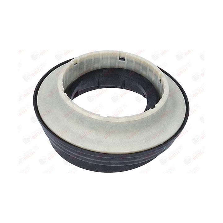 Frikcinis guolis, pakabos statramsčio atramos montavimas BIRTH 6618