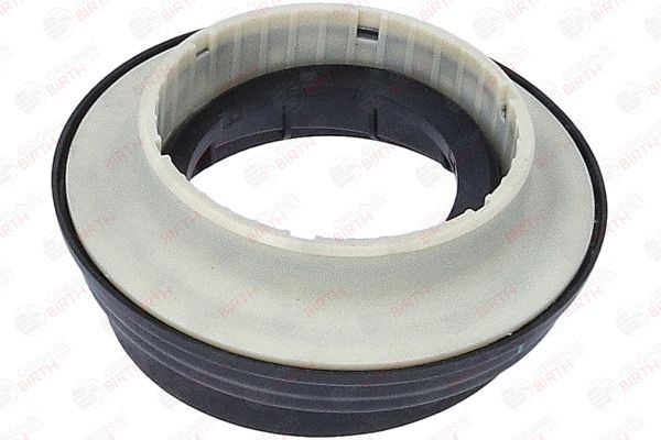 Frikcinis guolis, pakabos statramsčio atramos montavimas BIRTH 6618