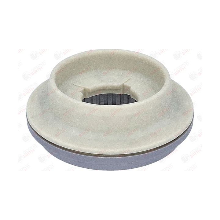 Frikcinis guolis, pakabos statramsčio atramos montavimas BIRTH 6622