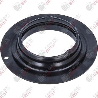 Frikcinis guolis, pakabos statramsčio atramos montavimas BIRTH 6624