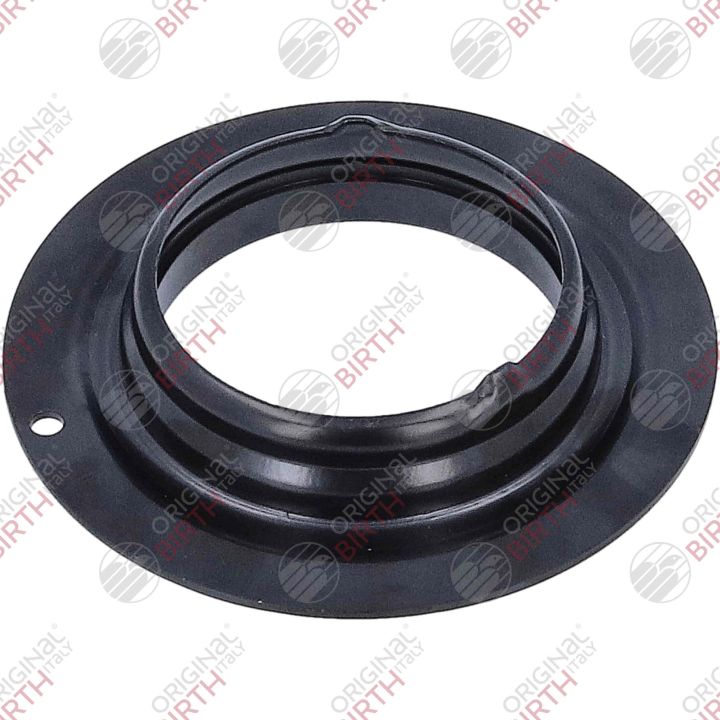 Frikcinis guolis, pakabos statramsčio atramos montavimas BIRTH 6624