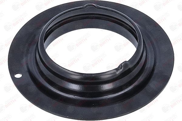 Frikcinis guolis, pakabos statramsčio atramos montavimas BIRTH 6624