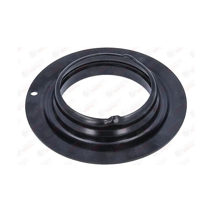 Frikcinis guolis, pakabos statramsčio atramos montavimas BIRTH 6624