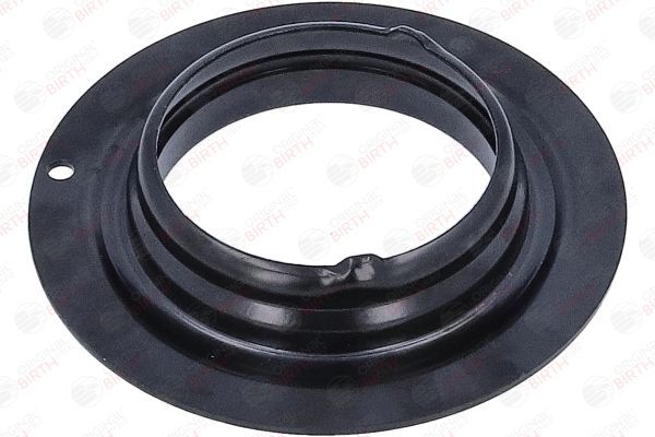 Frikcinis guolis, pakabos statramsčio atramos montavimas BIRTH 6624