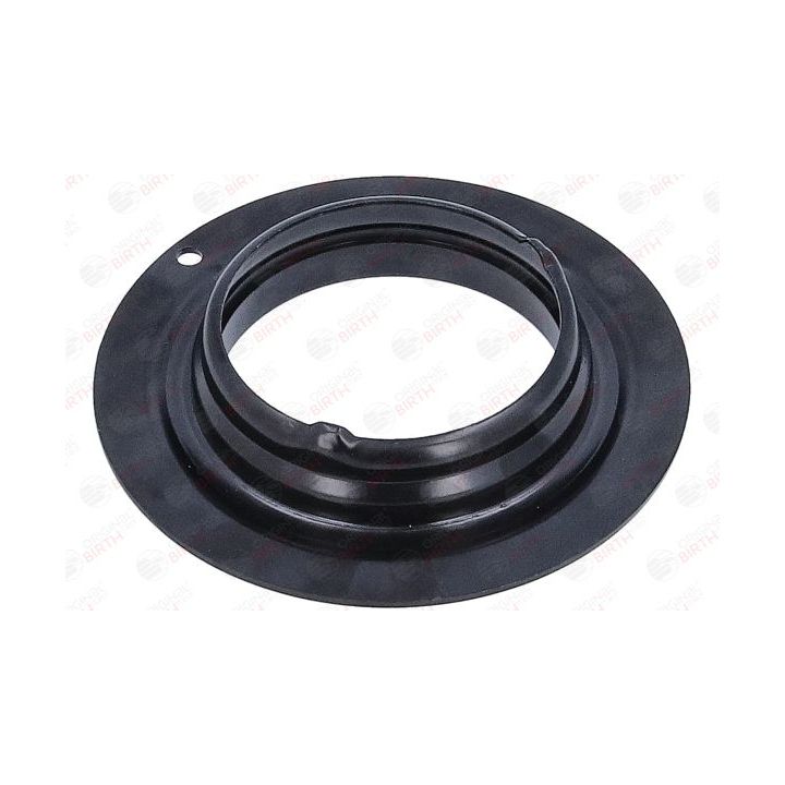 Frikcinis guolis, pakabos statramsčio atramos montavimas BIRTH 6624