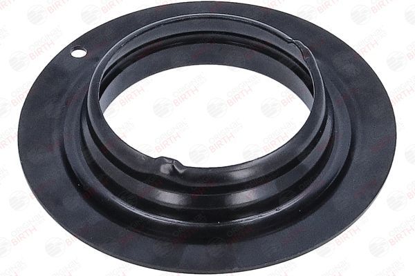 Frikcinis guolis, pakabos statramsčio atramos montavimas BIRTH 6624