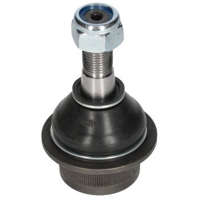 Šarnyras / girgždukas BIRTH CX9297