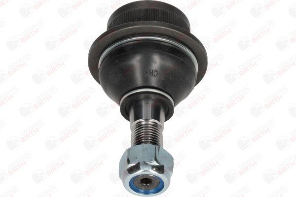 Šarnyras / girgždukas BIRTH CX9297