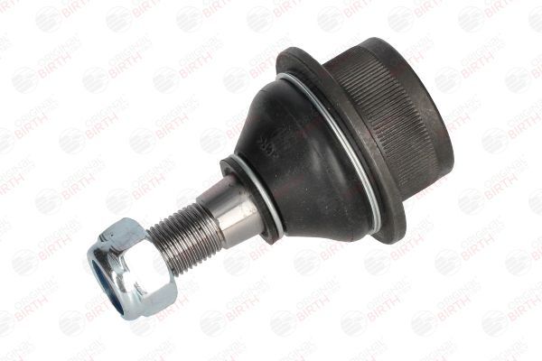 Šarnyras / girgždukas BIRTH CX9297