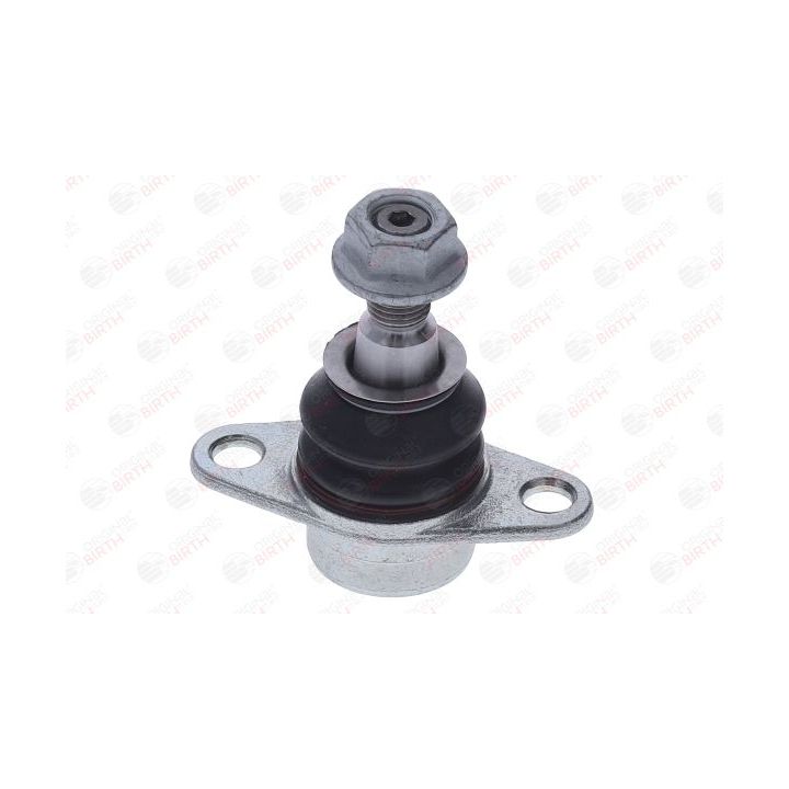 Šarnyras / girgždukas BIRTH CX9330