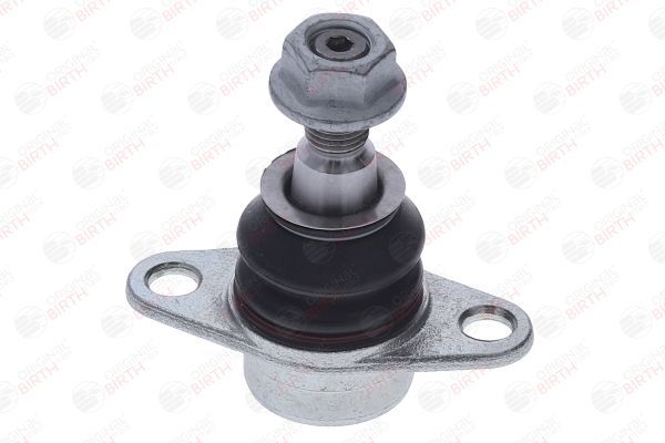 Šarnyras / girgždukas BIRTH CX9330