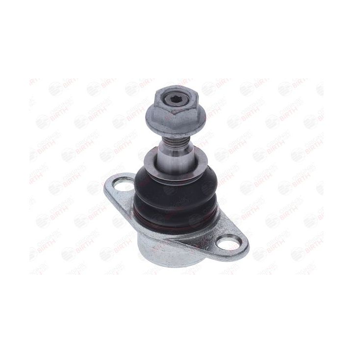 Šarnyras / girgždukas BIRTH CX9330